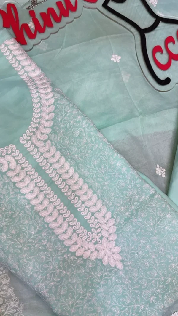 Stunning embroidery suit ccc1501