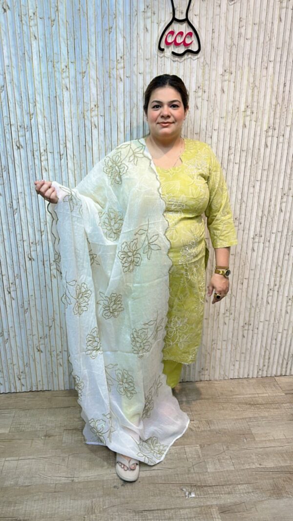 Beautiful cotton suit embroidery workccc209green