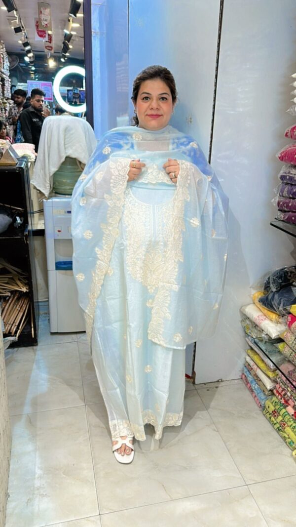 Beautiful Designer Suit CCC376 - Image 2