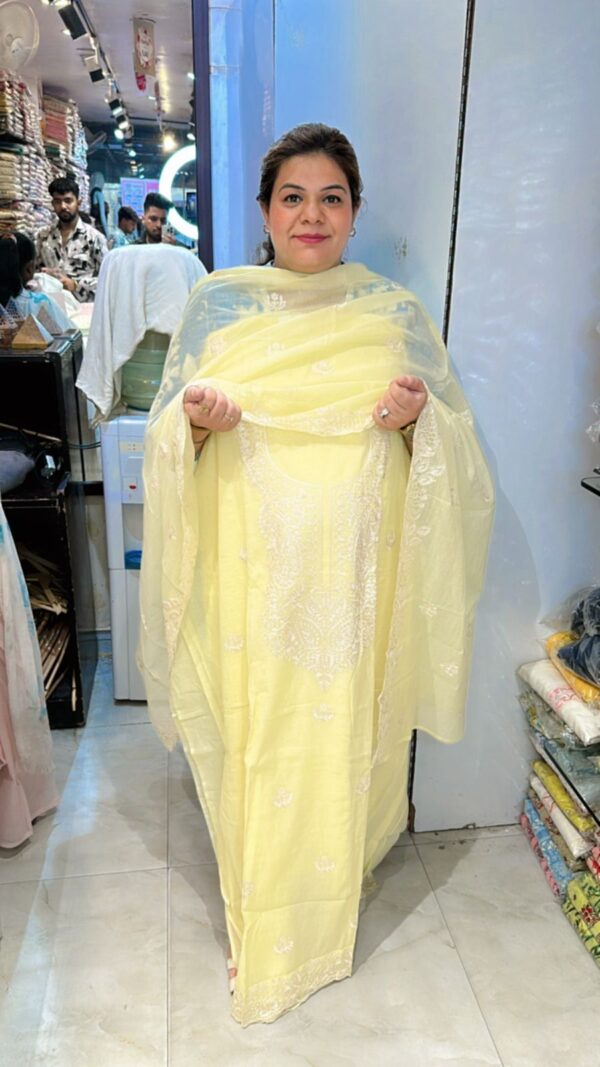 Beautiful Designer Suit CCC376 - Image 3