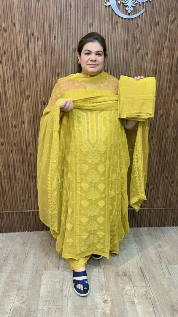 Beautiful Designer Suit CCC388