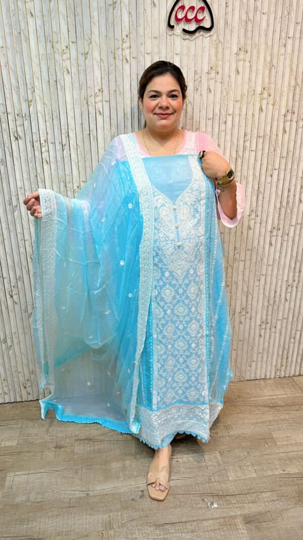 Beautiful Designer Suit CCC403 - Image 2