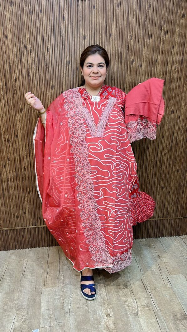 Beautiful embroidery suit ccc295red