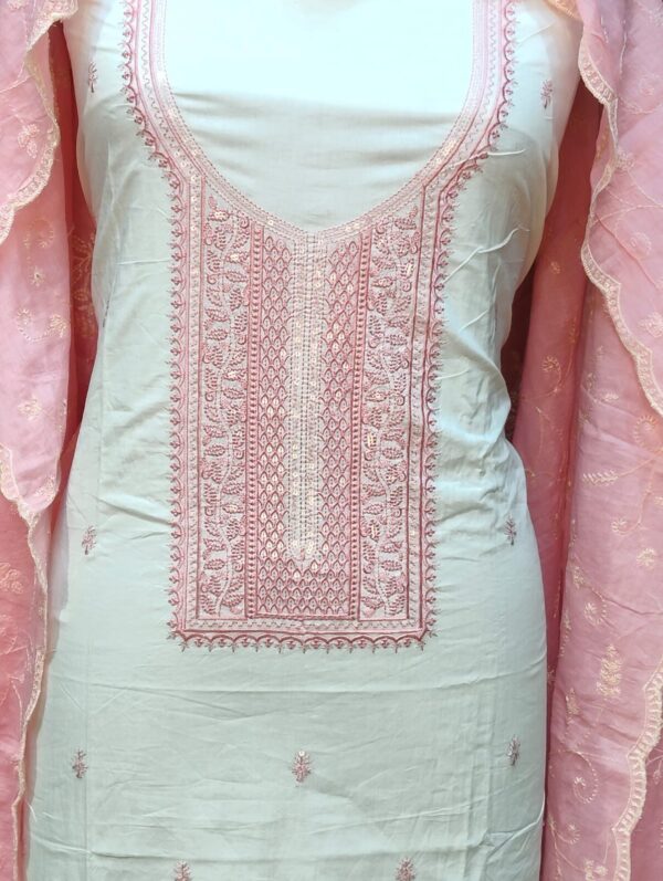 Beautiful Embroidery Suit CCC447 - Image 6