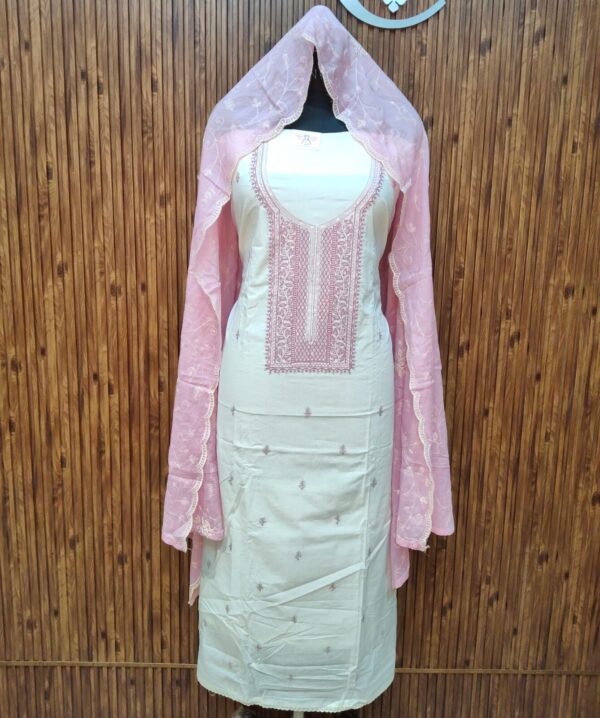 Beautiful Embroidery Suit CCC447 - Image 3