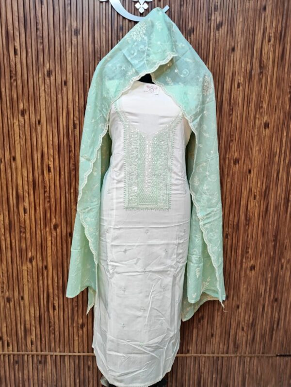 Beautiful Embroidery Suit CCC447