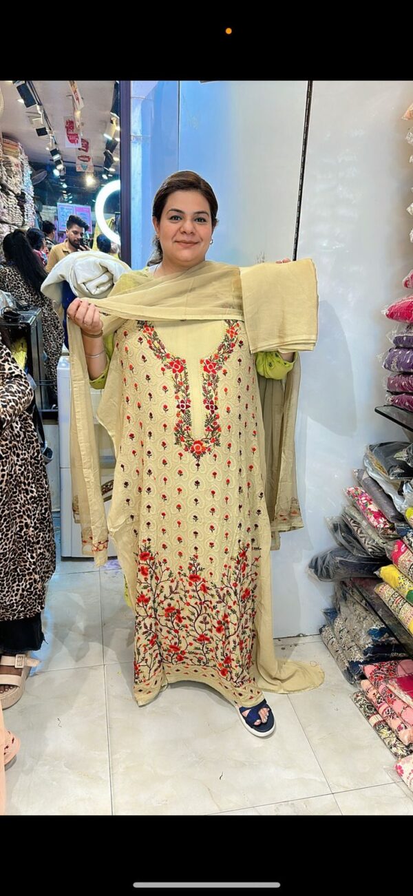 Beautiful Embroidery Work Suit CCC410