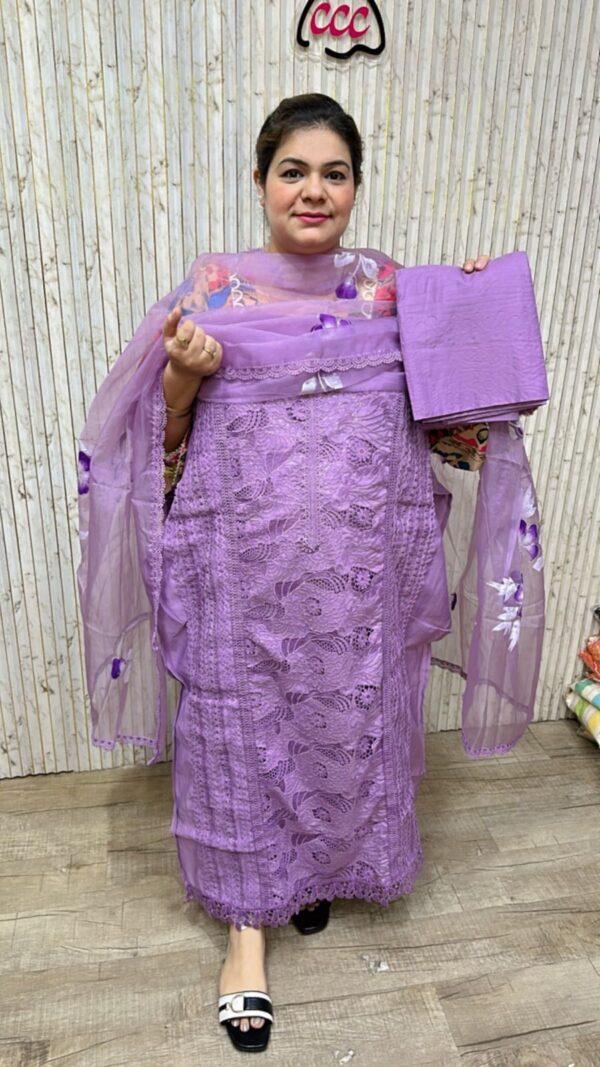 Beautiful karoshiya suit ccc240purple