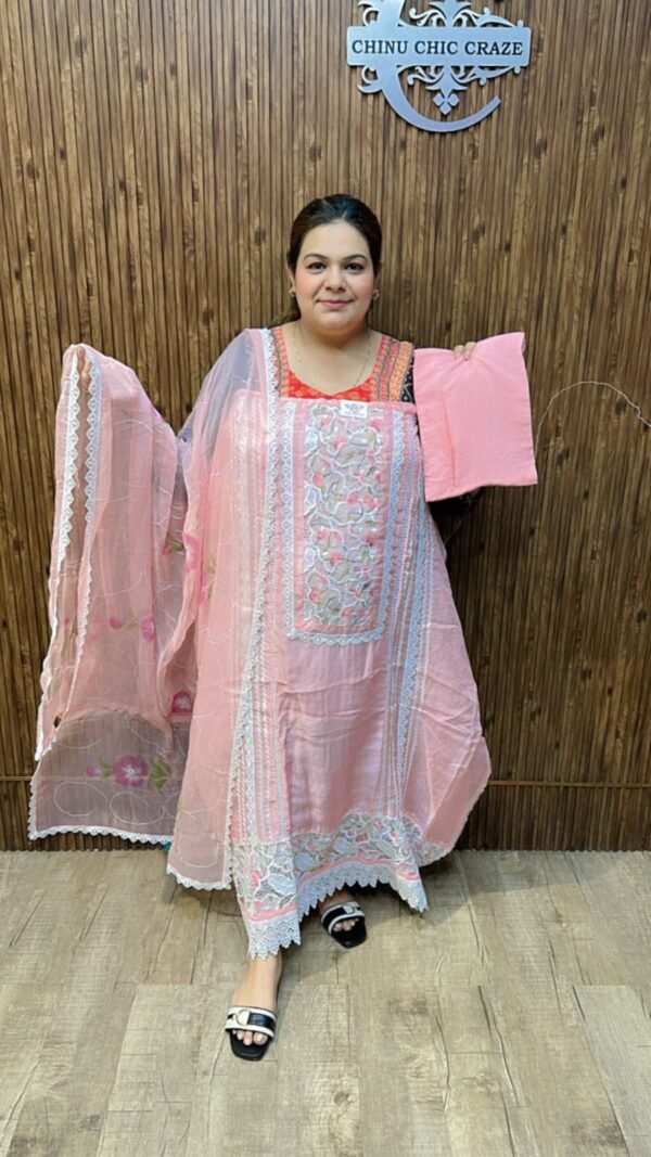 Beautiful Lace work Suit CCC499 - Image 2