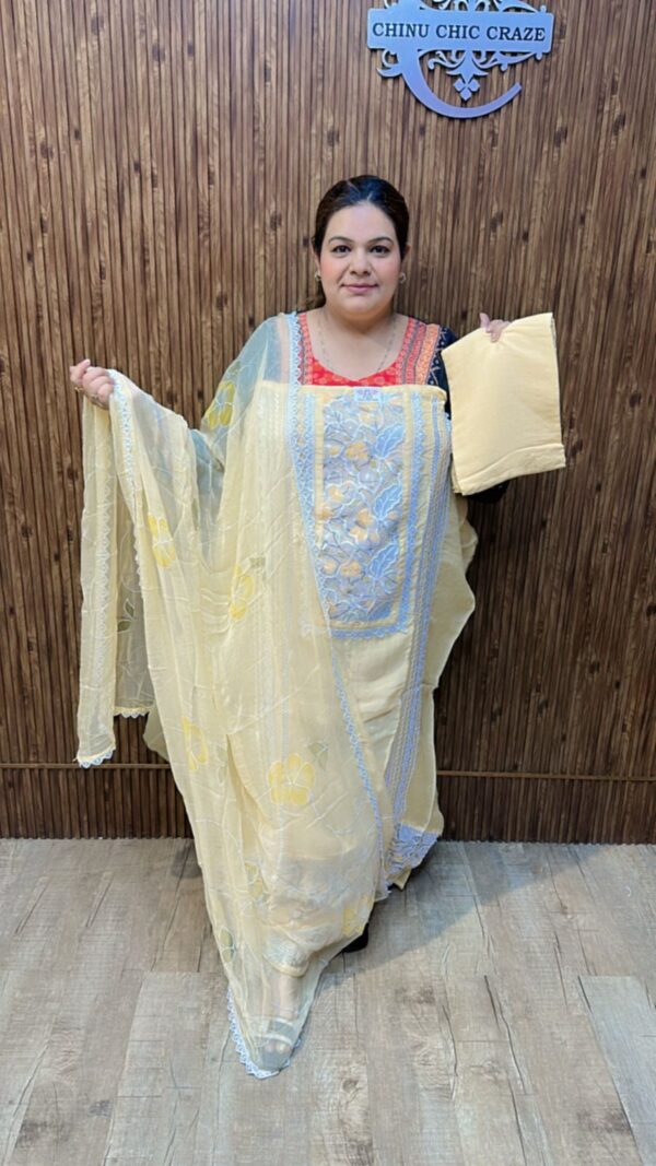 Beautiful Lace work Suit CCC499