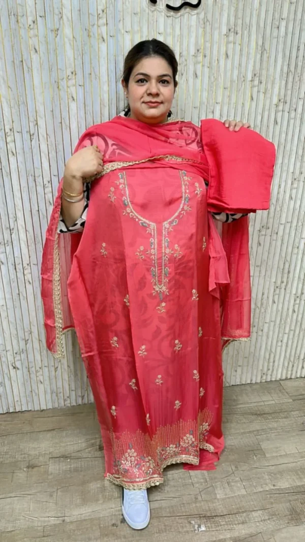 Beautiful organza suit ccc194pink