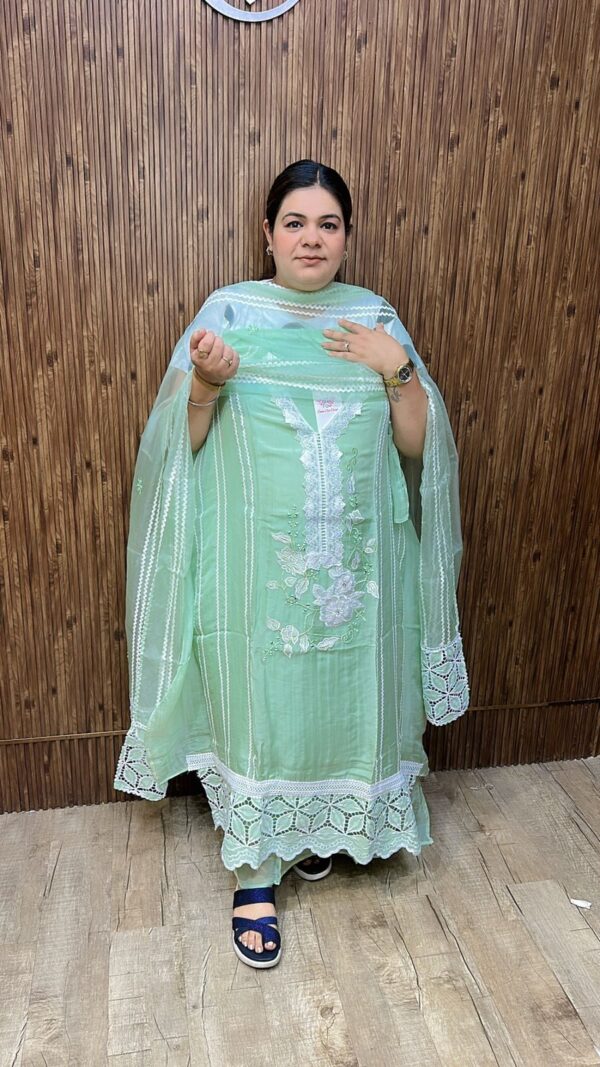 Beautiful organza suit ccc287gr