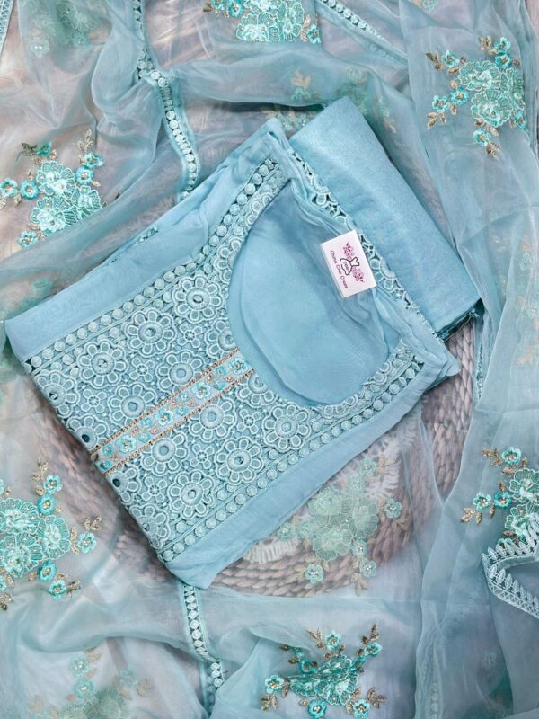 Beautiful Organza Suit CCC357 - Image 3