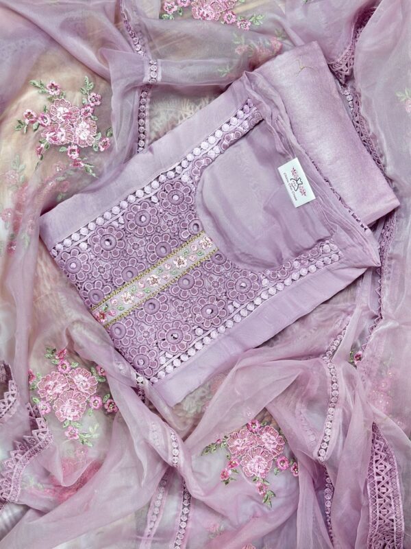 Beautiful Organza Suit CCC357 - Image 5
