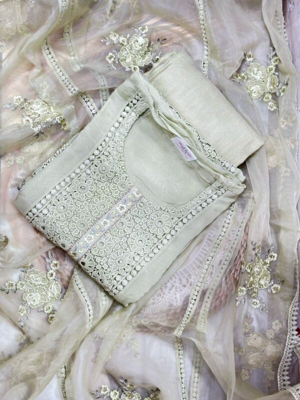 Beautiful Organza Suit CCC357 - Image 4