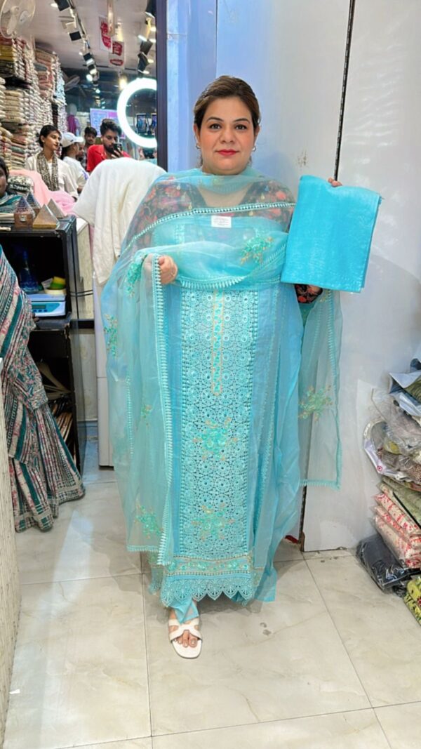 Beautiful Organza Suit CCC357 - Image 2