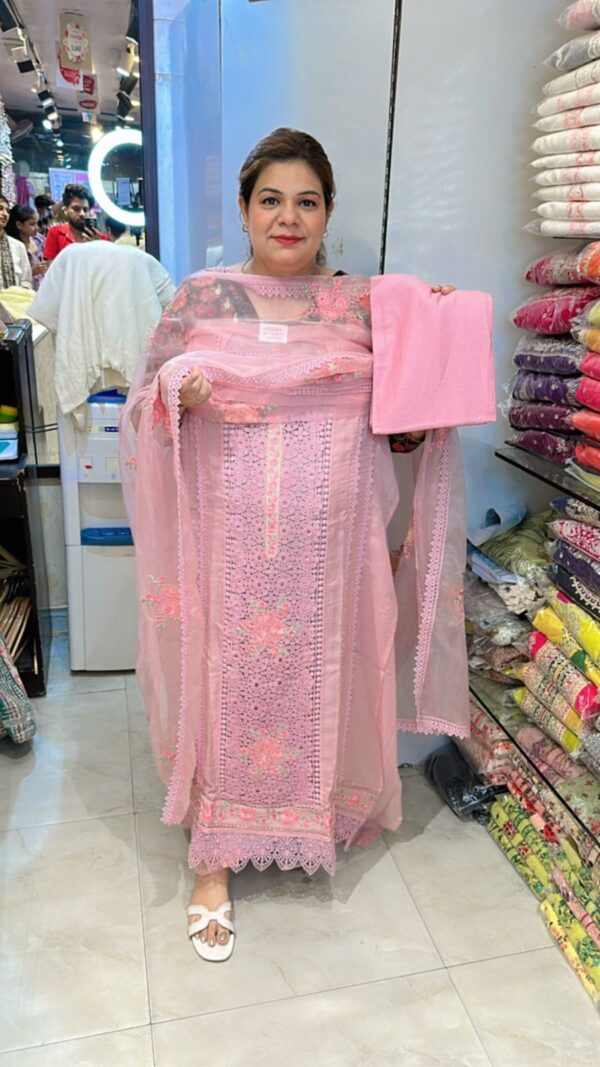 Beautiful Organza Suit CCC357 - Image 8