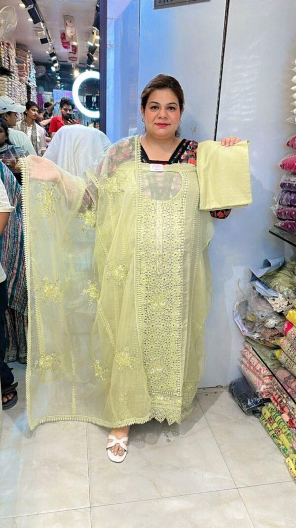Beautiful Organza Suit CCC357 - Image 7