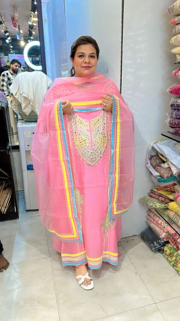 Beautiful Organza Suit CCC363