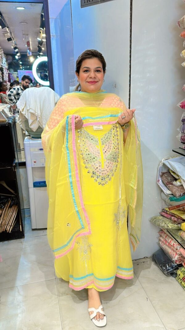 Beautiful Organza Suit CCC363 - Image 2