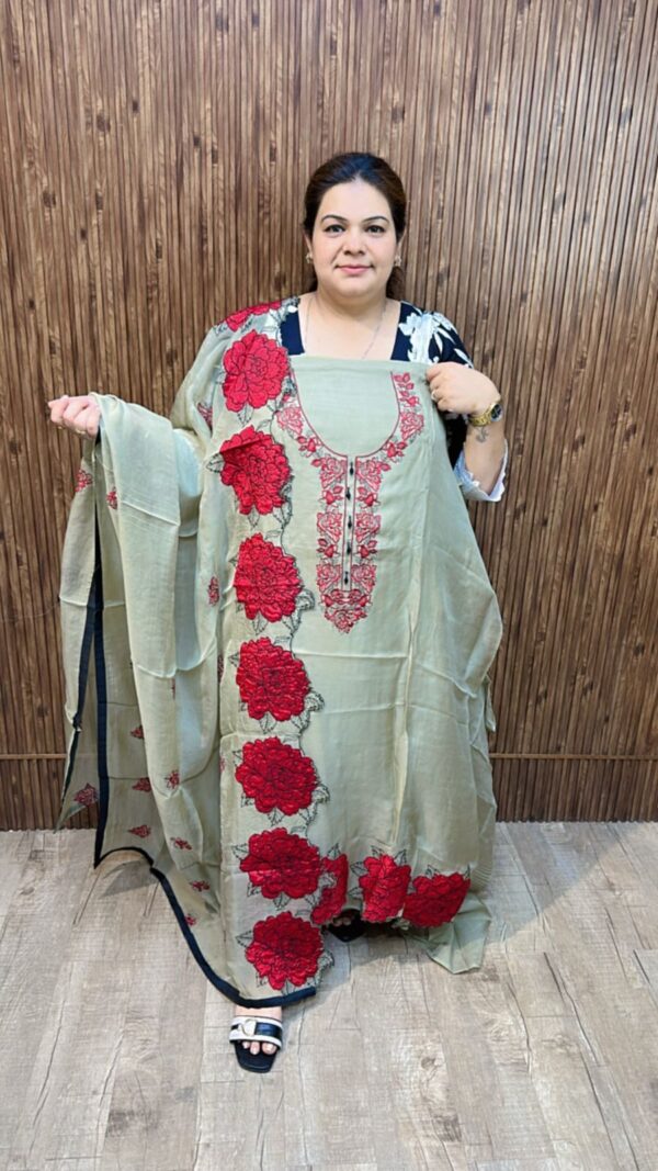 Beautiful Organza Suit With Rose Borders CCC503 - Image 2