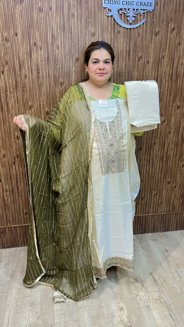 Beautiful Silk Suit CCC407 - Image 2