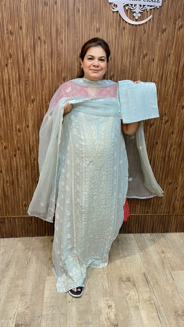 Beautiful Suit With Embroidery Work CCC394