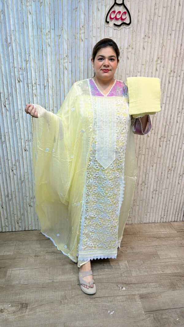 Beautiful suit with lace work ccc218
