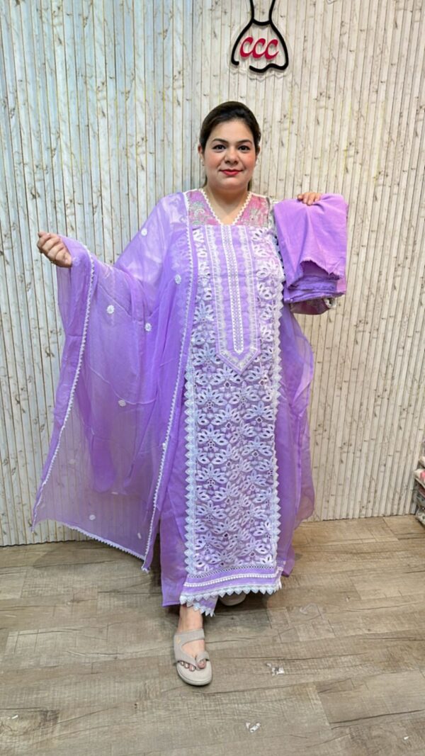Beautiful suit with lace work ccc2184