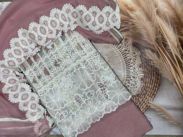 Beautiful suit with lace work ccc2522