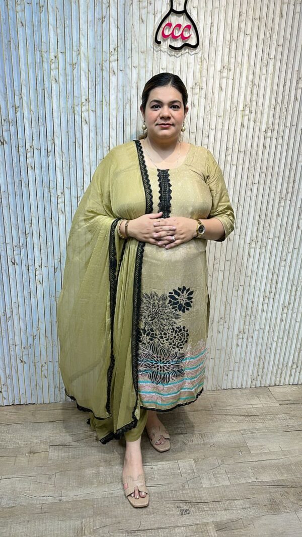 Beautiful suit with lace work ccc272grre