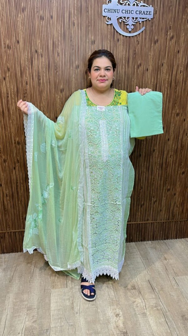 Beautiful Suit With Lace Work CCC405 - Image 2