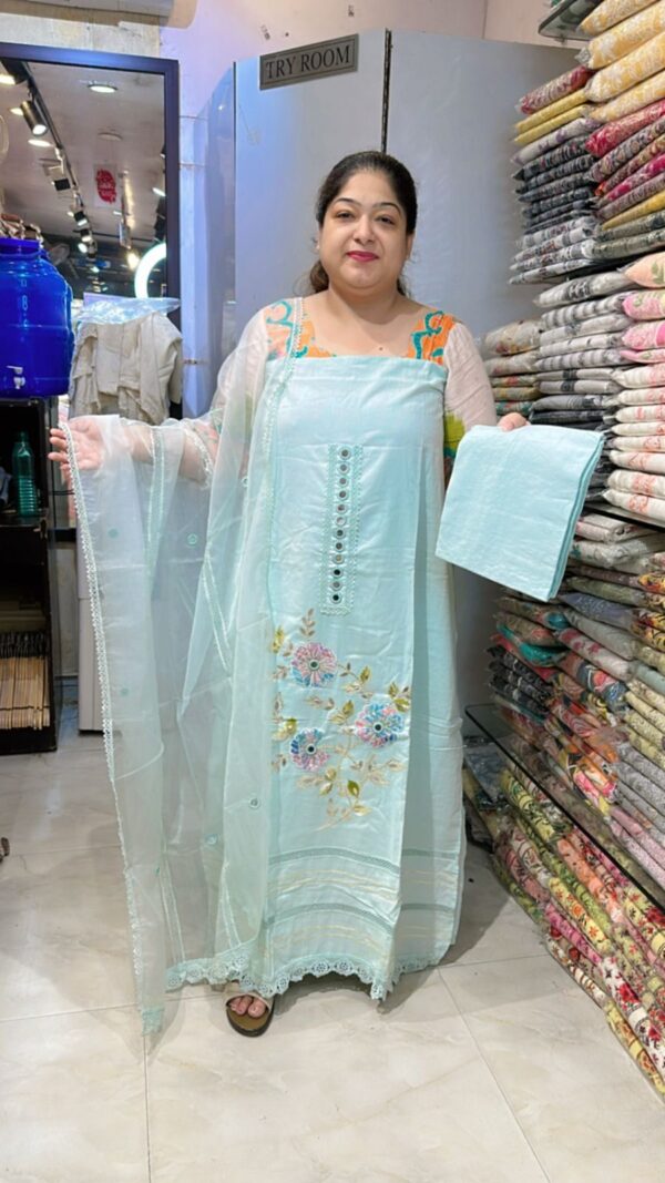 Beautiful Suit With Lace Work CCC458 - Image 2