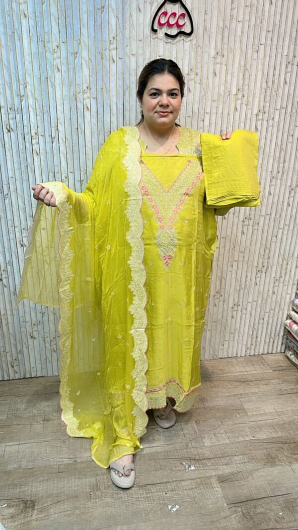 Pure organza suit with beautiful neck work ccc207 parrot green