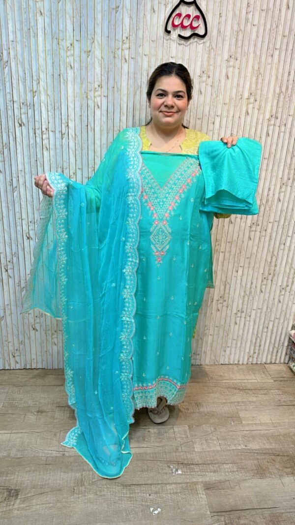Pure organza suit with beautiful neck work ccc207 sky blue