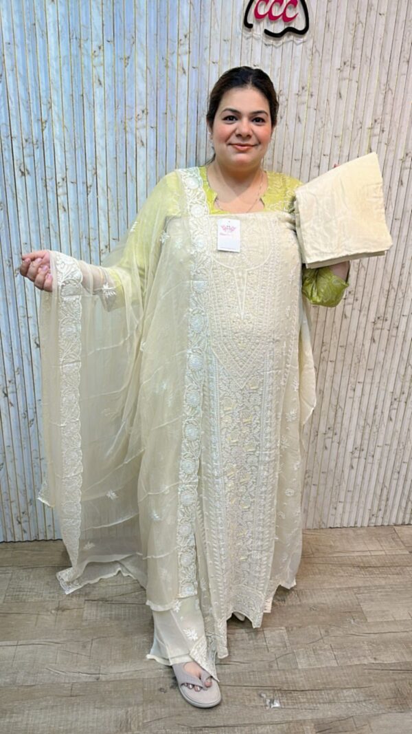 Stunning lucknow suit ccc211