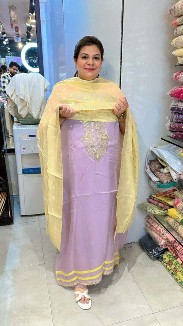 Stunning Organza Suit CCC368