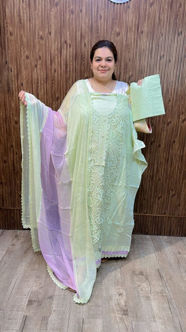 Stunning Suit With Lace Work CCC516 - Image 4