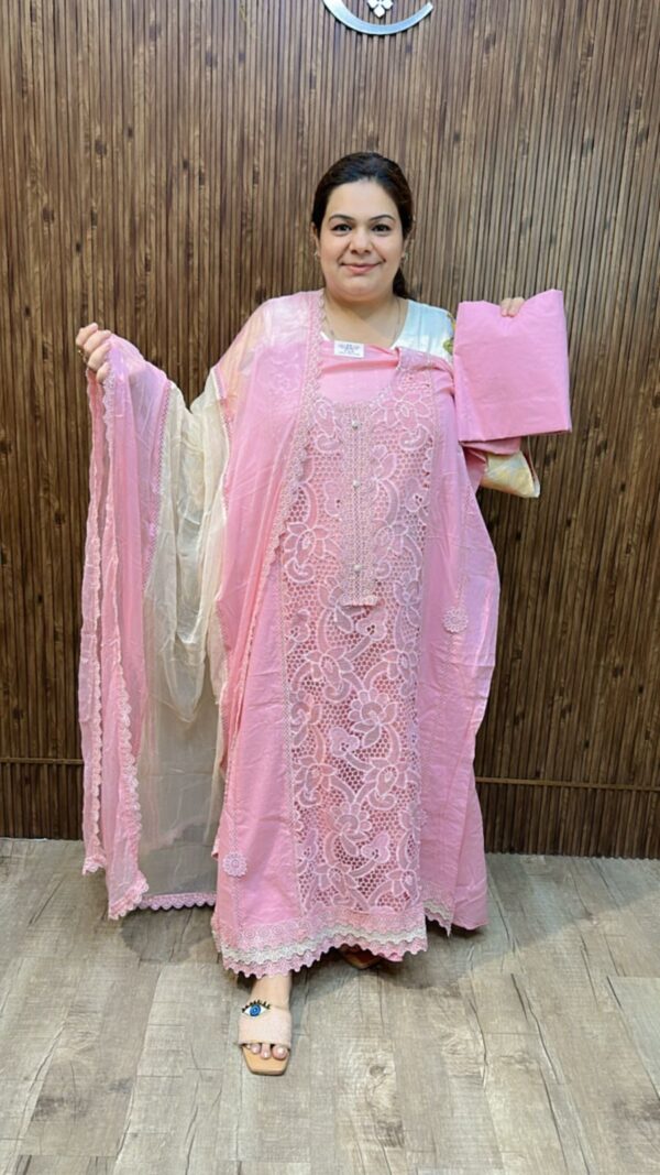 Stunning Suit With Lace Work CCC516