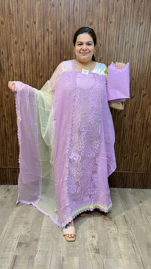 Stunning Suit With Lace Work CCC516 - Image 3