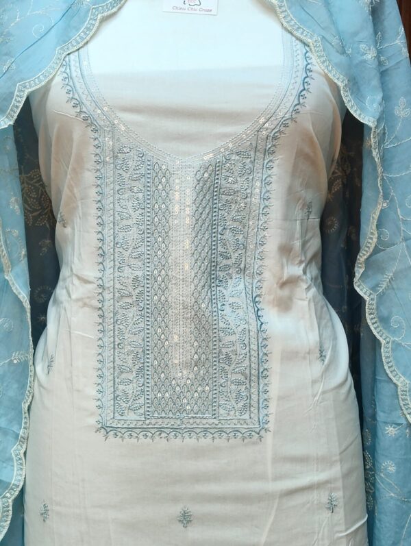 Beautiful Embroidery Suit CCC447 - Image 8