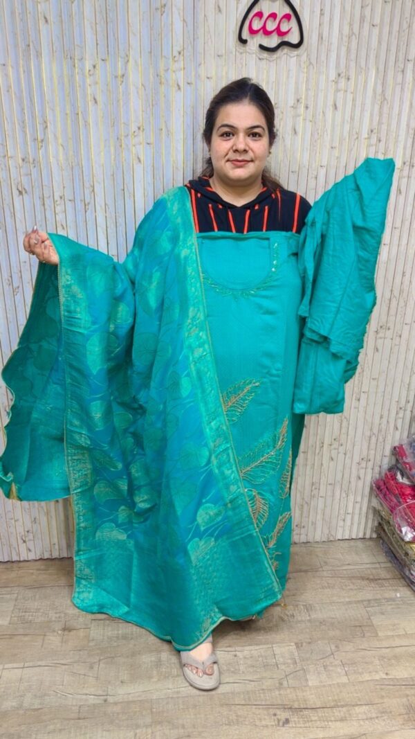 Stunning Banarasi Suit With Hand Work CCC14