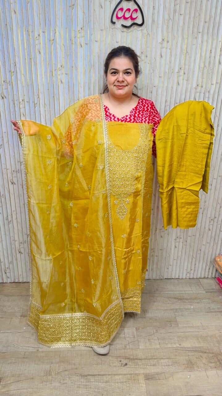 Beautiful khanjivarm Suit With With Hand Work CCC 32 - Image 2