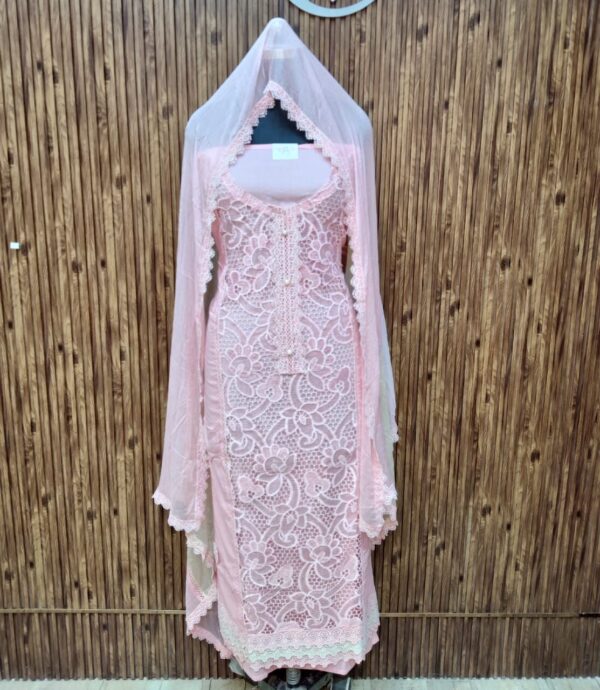 Beautiful Designer Suit CCC438